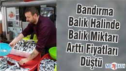 Bandırma Balık Halinde Balık Miktarı Arttı Fiyatları Düştü