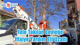 Tele Takılan Leyleğe İtfaiye Yardım Eli Uzattı