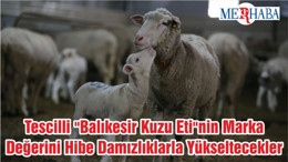 Tescilli "Balıkesir Kuzu Eti"nin Marka Değerini Hibe Damızlıklarla Yükseltecekler