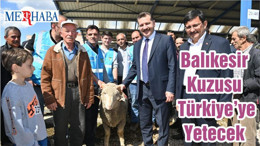 Balıkesir Kuzusu Türkiye’ye Yetecek