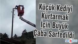 Küçük Kediyi Kurtarmak İçin Büyük Çaba Sarfedildi