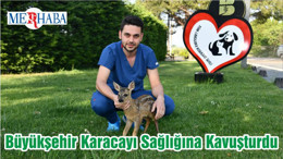 Büyükşehir Karacayı Sağlığına Kavuşturdu