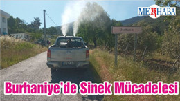 Burhaniye’de Sinek Mücadelesi
