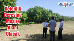 Ketenlik Deresine Mesire Alanı Olacak