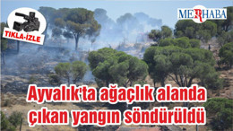 Ayvalık'ta ağaçlık alanda çıkan yangın söndürüldü