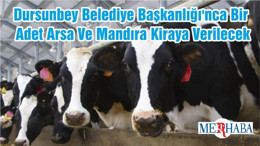 Dursunbey Belediye Başkanlığı'nca Bir Adet Arsa Ve Mandıra Kiraya Verilecek