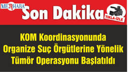 KOM Koordinasyonunda Organize Suç Örgütlerine Yönelik Tümör Operasyonu Başlatıldı