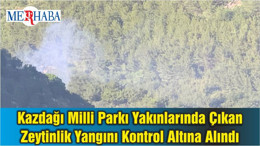 Kazdağı Milli Parkı Yakınlarında Çıkan Zeytinlik Yangını Kontrol Altına Alındı