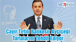 Çayır Tırtılı Balıkesir Ayçiçeği Tarlalarını Tehdit Ediyor