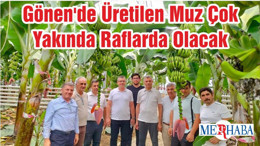 Gönen'de Üretilen Muz Çok Yakında Raflarda Olacak