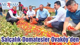 Salçalık Domatesler Ovaköy’den