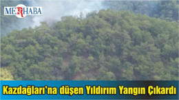Kazdağları’na düşen Yıldırım Yangın Çıkardı