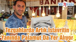 Tezgahlarda Artık İstavritin Yanında Palamut Da Yer Alıyor