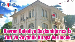 Havran Belediye Başkanlığı'nca İş Yeri Ve Zeytinlik Kiraya Verilecek