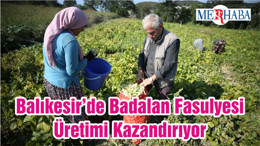 Balıkesir’de Badalan Fasulyesi Üretimi Kazandırıyor
