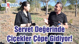 Servet Değerinde Çiçekler Çöpe Gidiyor!