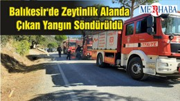 Balıkesir'de Zeytinlik Alanda Çıkan Yangın Söndürüldü