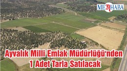 Ayvalık Milli Emlak Müdürlüğü'nden 1 Adet Tarla Satılacak