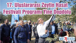 17. Uluslararası Zeytin Hasat Festivali Programı Yine Dopdolu