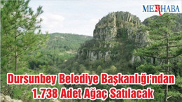 Dursunbey Belediye Başkanlığı'ndan 1.738 Adet Ağaç Satılacak
