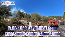 Balıkesir’de Zeytinlik Yangını Kısa Sürede Kontrol Altına Alındı