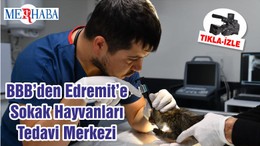 BBB’den Edremit’e Sokak Hayvanları Tedavi Merkezi