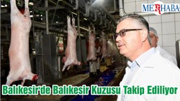 Balıkesir'de Balıkesir Kuzusu Takip Ediliyor
