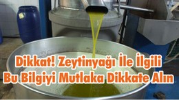 Dikkat! Zeytinyağı İle İlgili Bu Bilgiyi Mutlaka Dikkate Alın