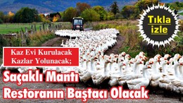 Kaz Evi Kurulacak Kazlar Yolunacak; Saçaklı Mantı Restoranın Baştacı Olacak