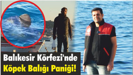 Balıkesir Körfezi'nde Köpek Balığı Paniği!