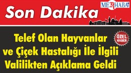 Telef Olan Hayvanlar ve Çiçek Hastalığı İle İlgili Valilikten Açıklama Geldi