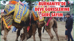 BURHANİYE’DE DEVE GÜREŞLERİNE GERİ SAYIM