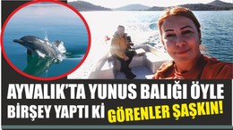AYVALIK’TA YUNUS BALIĞI ÖYLE BİRŞEY YAPTI Kİ GÖRENLER ŞAŞKIN!