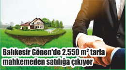 Balıkesir Gönen'de 2.550 m² tarla mahkemeden satılığa çıkıyor