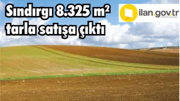 Sındırgı 8.325 m² tarla satışa çıktı