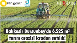 Balıkesir Dursunbey'de 6.525 m² tarım arazisi icradan satılık!