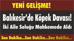 Balıkesir’de Köpek Davası! İki Aile Soluğu Mahkemede Aldı