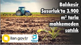 Balıkesir Susurluk'ta 3.900 m² tarla mahkemeden satılık