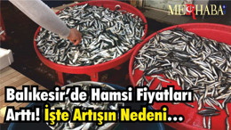 Balıkesir’de Hamsi Fiyatları Artı! İşte Artışın Nedeni…