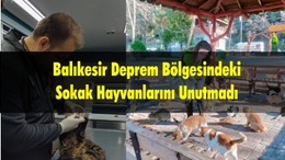 Balıkesir Deprem Bölgesindeki Sokak Hayvanlarını Unutmadı