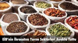 EİB’nin İhracatını Tarım Sektörleri Ayakta Tuttu