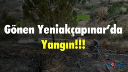Gönen Yeniakçapınar’da Yangın
