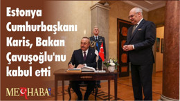 Estonya Cumhurbaşkanı Karis, Bakan Çavuşoğlu'nu kabul etti