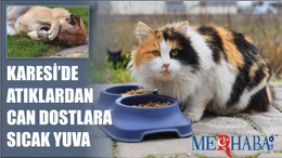 Karesi'de Can Dostlara Sıcak yuva