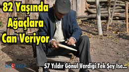 82 Yaşında Ağaçlara Can Veriyor