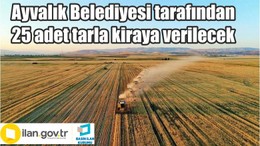 Ayvalık Belediyesi tarafından 25 adet tarla kiraya verilecek