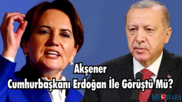 Akşener Cumhurbaşkanı Erdoğan İle Görüştü Mü?
