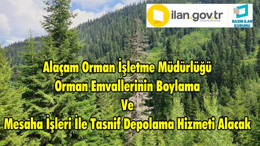 Alaçam Orman İşletme Müdürlüğü Orman Emvallerinin Boylama Ve Mesaha İşleri İle Tasnif Depolama Hizmeti Alacak