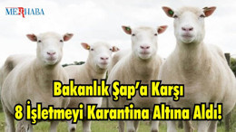 Bakanlık Şap’a Karşı 8 İşletmeyi Karantina Altına Aldı