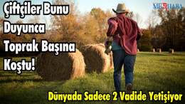 Dünyada Sadece 2 Vadide Yetişiyor